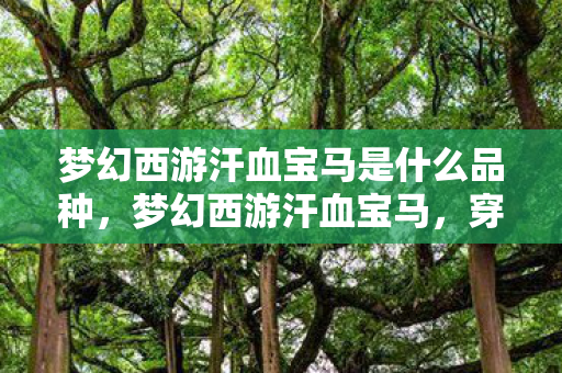 梦幻西游汗血宝马是什么品种，梦幻西游汗血宝马，穿越时空的梦幻之旅