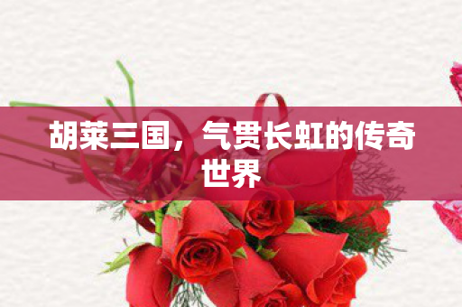 胡莱三国，气贯长虹的传奇世界
