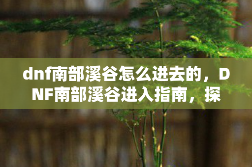 dnf南部溪谷怎么进去的，DNF南部溪谷进入指南，探索神秘领域的步骤详解