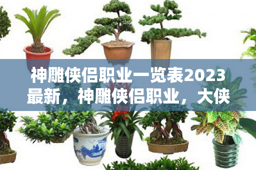 神雕侠侣职业一览表2023最新，神雕侠侣职业，大侠背后的江湖路