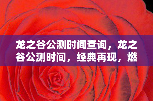 龙之谷公测时间查询，龙之谷公测时间，经典再现，燃情重启
