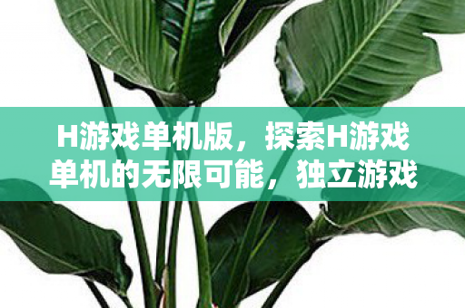 H游戏单机版,探索H游戏单机的无限可能,独立游戏的魅力与未来 H游戏单机版,探索H游戏单机的无限可能,独立游戏的魅力与未来