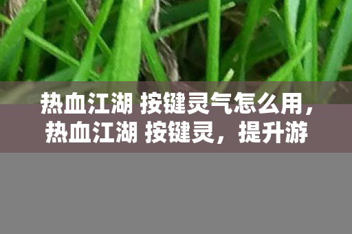 热血江湖 按键灵气怎么用,热血江湖 按键灵,提升游戏效率,尽享畅快体验 热血江湖 按键灵气怎么用,热血江湖 按键灵,提升游戏效率,尽享畅快体验