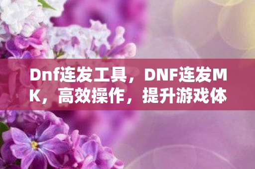 Dnf连发工具,DNF连发MK,高效操作,提升游戏体验 Dnf连发工具,DNF连发MK,高效操作,提升游戏体验