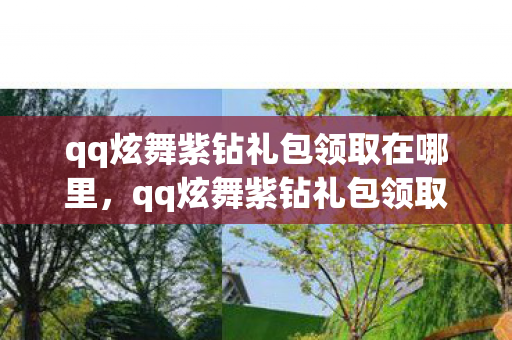 qq炫舞紫钻礼包领取在哪里,qq炫舞紫钻礼包领取攻略 qq炫舞紫钻礼包领取在哪里,qq炫舞紫钻礼包领取攻略