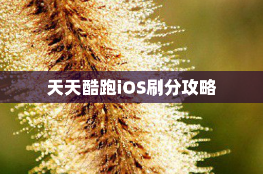 天天酷跑iOS刷分攻略 天天酷跑iOS刷分攻略