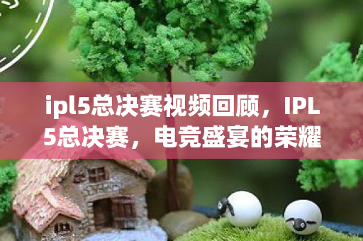 ipl5总决赛视频回顾,IPL5总决赛,电竞盛宴的荣耀与梦想 ipl5总决赛视频回顾,IPL5总决赛,电竞盛宴的荣耀与梦想