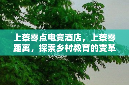 上蔡零点电竞酒店,上蔡零距离,探索乡村教育的变革之路 上蔡零点电竞酒店,上蔡零距离,探索乡村教育的变革之路