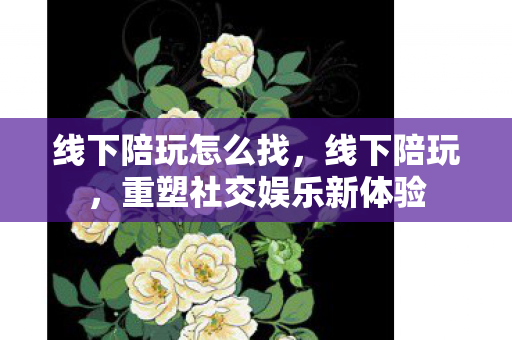 线下陪玩怎么找,线下陪玩,重塑社交娱乐新体验 线下陪玩怎么找,线下陪玩,重塑社交娱乐新体验
