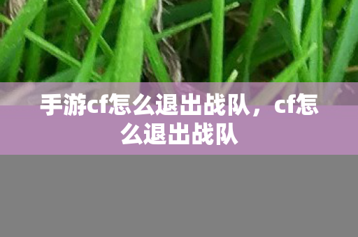 手游cf怎么退出战队,cf怎么退出战队 手游cf怎么退出战队,cf怎么退出战队