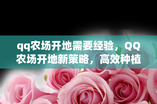 qq农场开地需要经验,QQ农场开地新策略,高效种植与拓展指南 qq农场开地需要经验,QQ农场开地新策略,高效种植与拓展指南