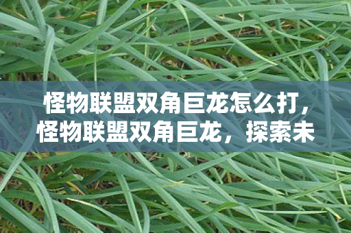 怪物联盟双角巨龙怎么打,怪物联盟双角巨龙,探索未知世界的神秘生物 怪物联盟双角巨龙怎么打,怪物联盟双角巨龙,探索未知世界的神秘生物