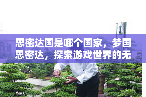 思密达国是哪个国家,梦国思密达,探索游戏世界的无限可能 思密达国是哪个国家,梦国思密达,探索游戏世界的无限可能