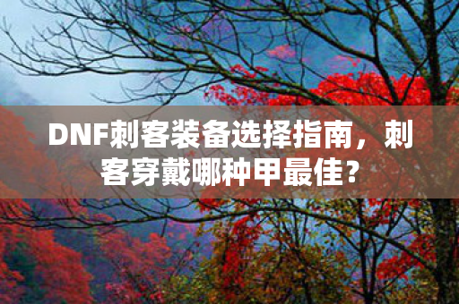DNF刺客装备选择指南,刺客穿戴哪种甲最佳? DNF刺客装备选择指南,刺客穿戴哪种甲最佳?