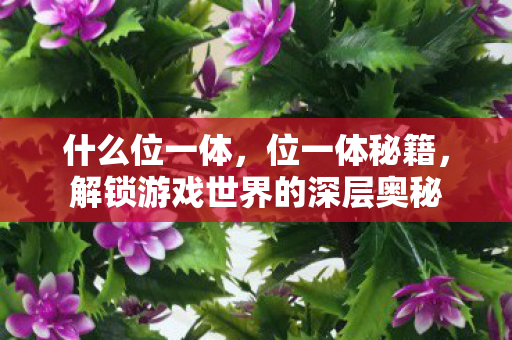 什么位一体,位一体秘籍,解锁游戏世界的深层奥秘 什么位一体,位一体秘籍,解锁游戏世界的深层奥秘
