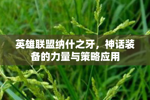 英雄联盟纳什之牙,神话装备的力量与策略应用 英雄联盟纳什之牙,神话装备的力量与策略应用