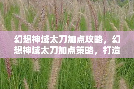 幻想神域太刀加点攻略,幻想神域太刀加点策略,打造高效战斗输出 幻想神域太刀加点攻略,幻想神域太刀加点策略,打造高效战斗输出