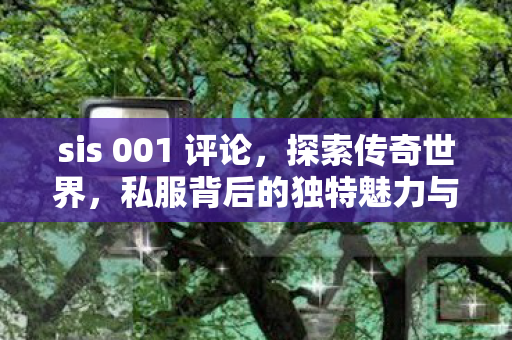 sis 001 评论,探索传奇世界,私服背后的独特魅力与社区文化 sis 001 评论,探索传奇世界,私服背后的独特魅力与社区文化