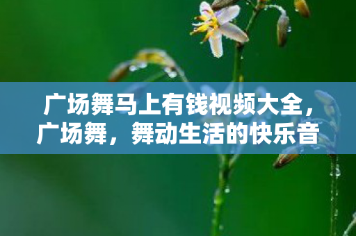 广场舞马上有钱视频大全,广场舞,舞动生活的快乐音符 广场舞马上有钱视频大全,广场舞,舞动生活的快乐音符