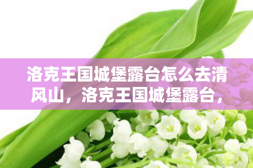 洛克王国城堡露台怎么去清风山,洛克王国城堡露台,探索王国之巅的奇幻之旅 洛克王国城堡露台怎么去清风山,洛克王国城堡露台,探索王国之巅的奇幻之旅