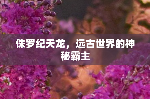 侏罗纪天龙,远古世界的神秘霸主 侏罗纪天龙,远古世界的神秘霸主