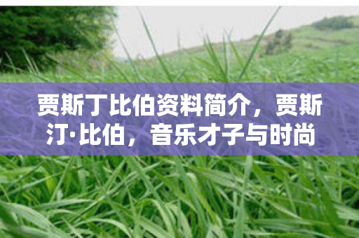 贾斯丁比伯资料简介,贾斯汀·比伯,音乐才子与时尚先锋的成长之路 贾斯丁比伯资料简介,贾斯汀·比伯,音乐才子与时尚先锋的成长之路