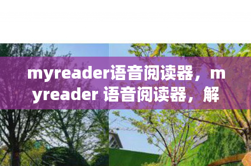 myreader语音阅读器,myreader 语音阅读器,解放双眼,聆听知识的力量 myreader语音阅读器,myreader 语音阅读器,解放双眼,聆听知识的力量