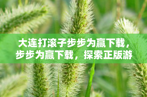 大连打滚子步步为赢下载,步步为赢下载,探索正版游戏的便捷之路 大连打滚子步步为赢下载,步步为赢下载,探索正版游戏的便捷之路
