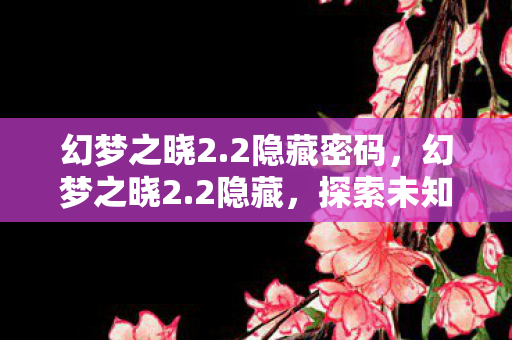 幻梦之晓2.2隐藏密码，幻梦之晓2.2隐藏，探索未知世界的奇幻之旅