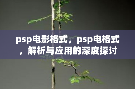 psp电影格式,psp电格式,解析与应用的深度探讨 psp电影格式,psp电格式,解析与应用的深度探讨