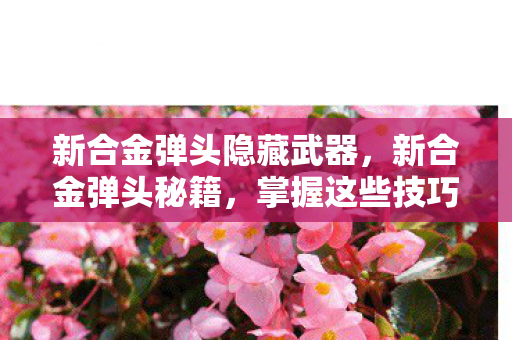 新合金弹头隐藏武器,新合金弹头秘籍,掌握这些技巧,成为游戏高手! 新合金弹头隐藏武器,新合金弹头秘籍,掌握这些技巧,成为游戏高手!