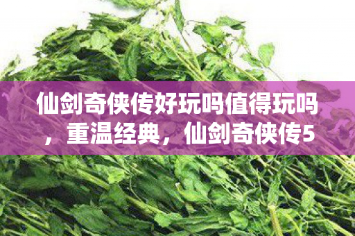 仙剑奇侠传好玩吗值得玩吗,重温经典,仙剑奇侠传5的趣味与魅力 仙剑奇侠传好玩吗值得玩吗,重温经典,仙剑奇侠传5的趣味与魅力