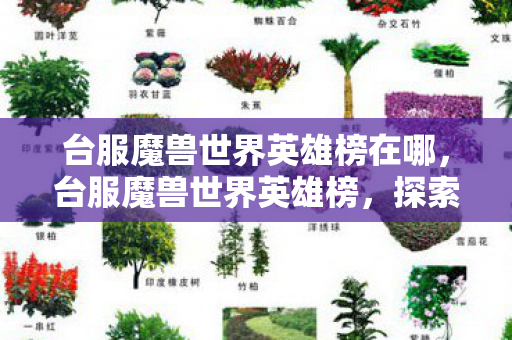 台服魔兽世界英雄榜在哪,台服魔兽世界英雄榜,探索玩家荣耀的殿堂 台服魔兽世界英雄榜在哪,台服魔兽世界英雄榜,探索玩家荣耀的殿堂
