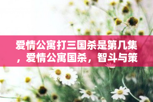 爱情公寓打三国杀是第几集,爱情公寓国杀,智斗与策略并存的桌游新体验 爱情公寓打三国杀是第几集,爱情公寓国杀,智斗与策略并存的桌游新体验