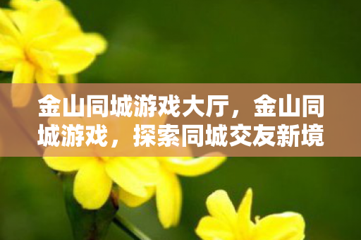 金山同城游戏大厅,金山同城游戏,探索同城交友新境界 金山同城游戏大厅,金山同城游戏,探索同城交友新境界