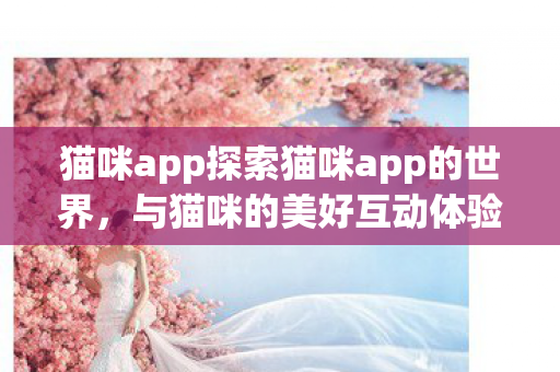 猫咪app探索猫咪app的世界，与猫咪的美好互动体验