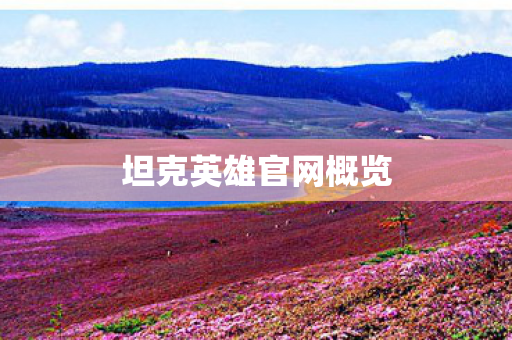坦克英雄官网概览 坦克英雄官网概览