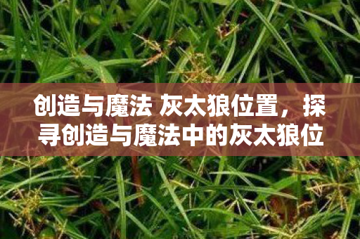 创造与魔法 灰太狼位置,探寻创造与魔法中的灰太狼位置 创造与魔法 灰太狼位置,探寻创造与魔法中的灰太狼位置