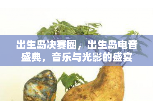 出生岛决赛圈,出生岛电音盛典,音乐与光影的盛宴 出生岛决赛圈,出生岛电音盛典,音乐与光影的盛宴