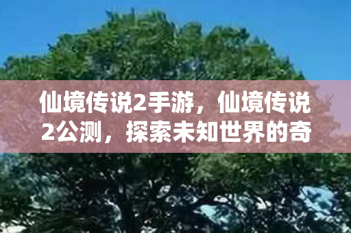 仙境传说2手游，仙境传说2公测，探索未知世界的奇幻旅程