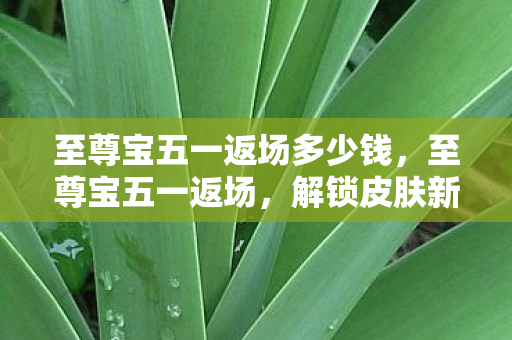 至尊宝五一返场多少钱,至尊宝五一返场,解锁皮肤新惊喜 至尊宝五一返场多少钱,至尊宝五一返场,解锁皮肤新惊喜