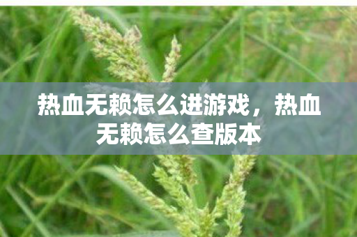 热血无赖怎么进游戏，热血无赖怎么查版本