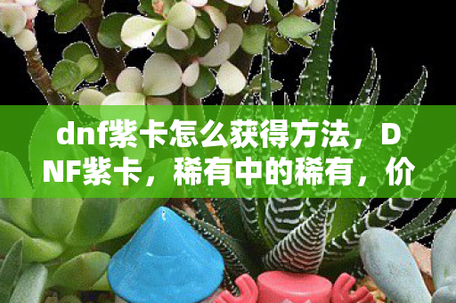 dnf紫卡怎么获得方法,DNF紫卡,稀有中的稀有,价值连城的收藏品 dnf紫卡怎么获得方法,DNF紫卡,稀有中的稀有,价值连城的收藏品