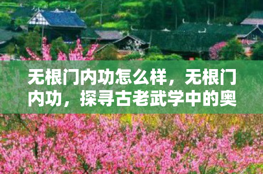无根门内功怎么样，无根门内功，探寻古老武学中的奥秘