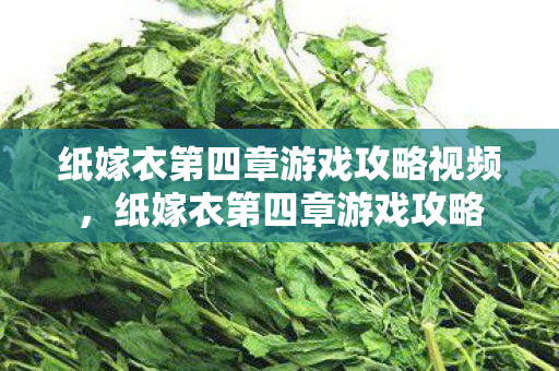 纸嫁衣第四章游戏攻略视频,纸嫁衣第四章游戏攻略 纸嫁衣第四章游戏攻略视频,纸嫁衣第四章游戏攻略