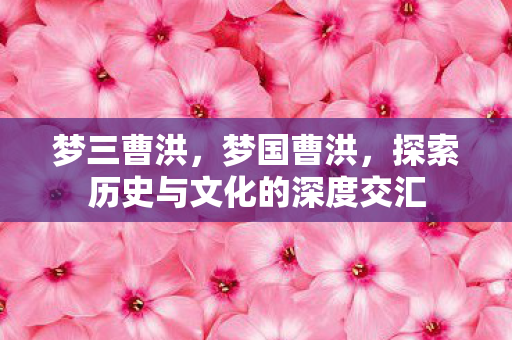 梦三曹洪,梦国曹洪,探索历史与文化的深度交汇 梦三曹洪,梦国曹洪,探索历史与文化的深度交汇
