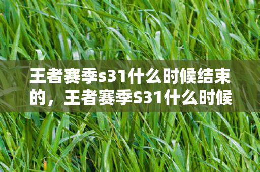 王者赛季s31什么时候结束的，王者赛季S31什么时候结束？详细解析与预测