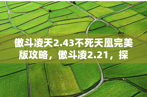 傲斗凌天2.43不死天凰完美版攻略,傲斗凌2.21,探索全新游戏世界的奇妙之旅 傲斗凌天2.43不死天凰完美版攻略,傲斗凌2.21,探索全新游戏世界的奇妙之旅
