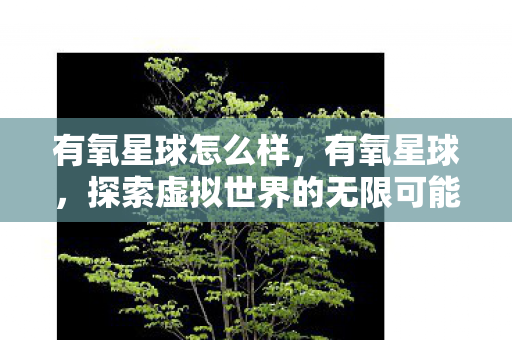 有氧星球怎么样,有氧星球,探索虚拟世界的无限可能 有氧星球怎么样,有氧星球,探索虚拟世界的无限可能
