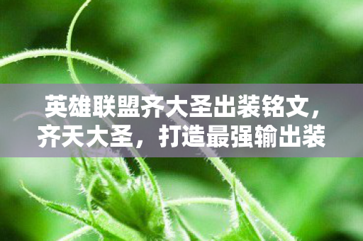 英雄联盟齐大圣出装铭文,齐天大圣,打造最强输出装 英雄联盟齐大圣出装铭文,齐天大圣,打造最强输出装